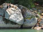 Cliff diving
