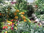 Lincoln Park Conservatory