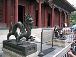 Dragon and Phoenix